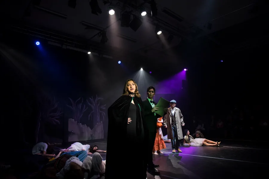 Into the Woods, Lighting Design, 2016 production image by Ben Sassoon